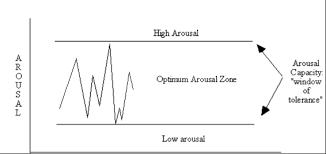 window of tolerance 2