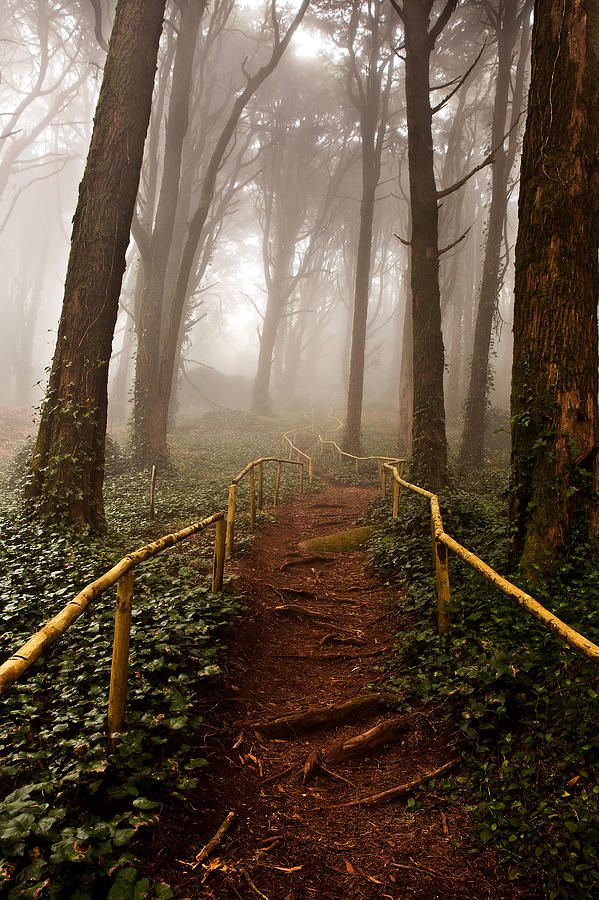 3a4c4fe15f46eef220d6f00dc21eb39e