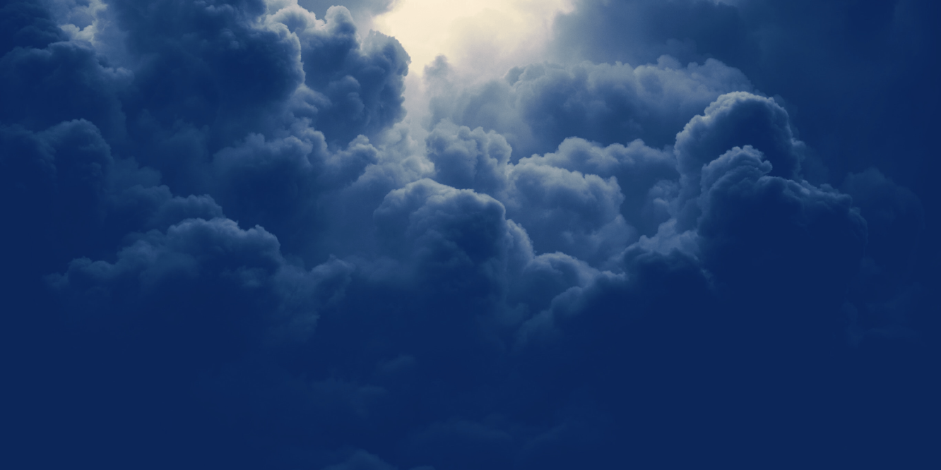 Intensive PTSD police - Vets